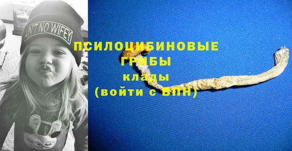 дмт Бугульма